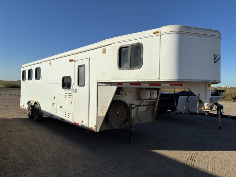 2008 Bison Trail Express 8380 Horse Trailer